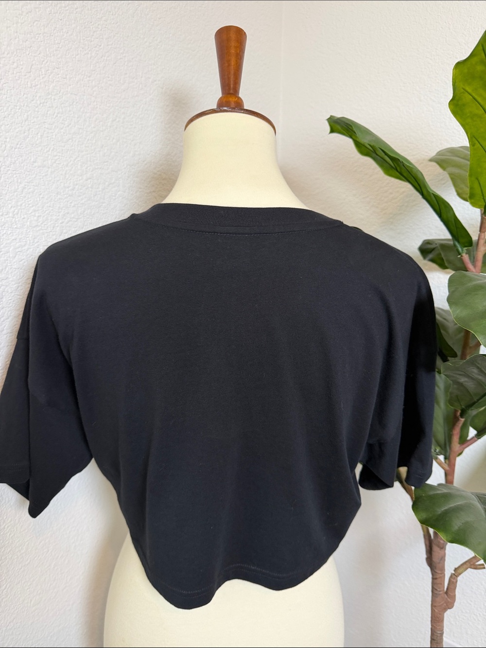 Aritzia TNA Cropped Crewneck Tee - Picture 5 of 8